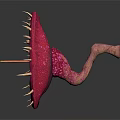 Exotic Red Thorny Plant Featuring Petal Like Structure With Shiny Center Seeds And Yellow Stamens