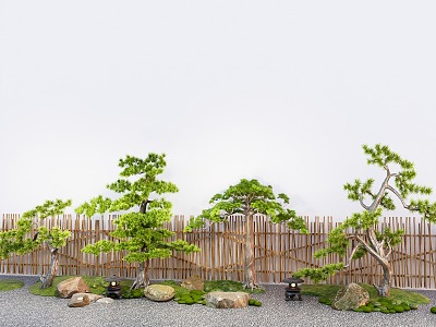 Courtyard landscaping pine lohan pine courtyard sketch fence model