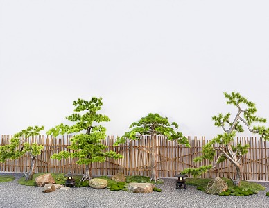 Courtyard landscaping pine lohan pine courtyard sketch fence 3d model