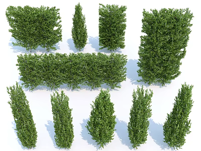 Decorative Trimmed Shrub Bushes in Various Shapes for Garden Landscaping Design 3d model