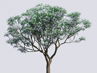 Arbor With Lush Foliage Purple Blossoms And Spreading Branches On Brown Trunk 3d model