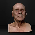Modern man old man face avatar 3d model