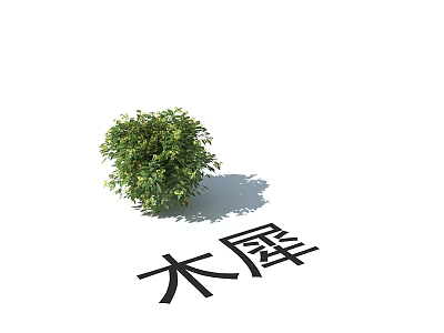 Modern wood rhinoceros landscape plant wood rhinoceros 3d model