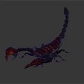 Red Scorpion With Curved Tail Sharp Claws And Shiny Body On Dark Background