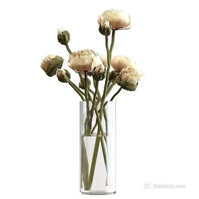 Transparent Glass Cylindrical Vase With Light Colored Blooming Peonies And Green Stems On White Background 3d model 