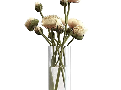 Transparent Glass Cylindrical Vase With Light Colored Blooming Peonies And Green Stems On White Background 3d model