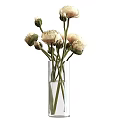 Transparent Glass Cylindrical Vase With Light Colored Blooming Peonies And Green Stems On White Background