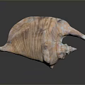 Highly Detailed Organ Structure With Hair Follicles And Biological Textural Features