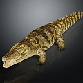 Lifelike Crocodile Closeup with Open Mouth Detailed Skin Texture and Wildlife Pose