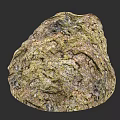 Natural Wooden Stone With Rough Textured Surface And Organic Earthy Patterns