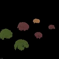 Colorful Shrubs In Various Green Red And Orange Hues For Garden Landscaping