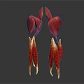 Detailed Limb Organs Anatomical Structure With Red Tissue And White Connective Parts