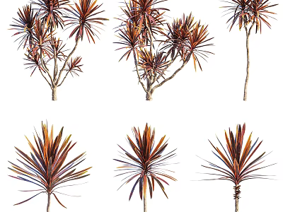 Ornamental Shrubs With Red And Brown Leaves In Varied Natural Forms 3d model
