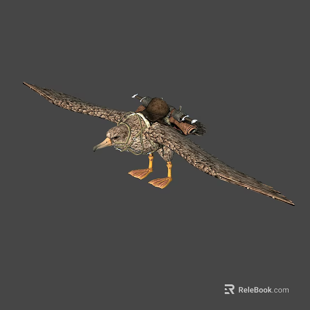 Flying Seagull With Extended Wings And Natural Feather Patterns 3d model 