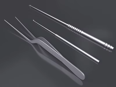 Stainless Steel Surgical Medical Instruments Including Tweezers Probe And Dissection Tools 3d model