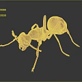 Detailed Close up View of Red Ant with Shiny Exoskeleton and Extended Legs
