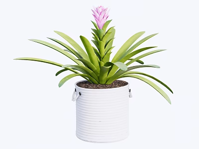 Potted Bonsai Plant In White Ribbed Pot Metal Handles Long Green Leaves Pink Flower 3d model