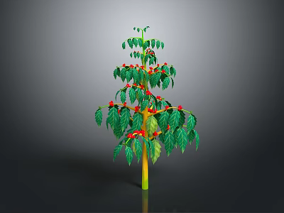 Lush Coffee Plant With Green Leaves And Red Berries On Yellow Stem 3d model