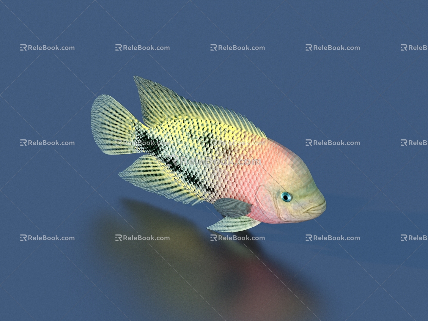 goldfish ornamental fish pet fish koi carp 3d model