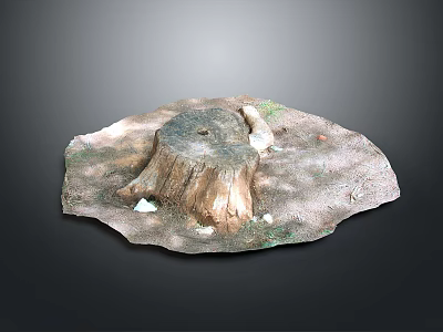 Wood Stone Natural Decorative Scene with Tree Stump Stones and Mossy Ground 3d model