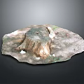 Wood Stone Natural Decorative Scene with Tree Stump Stones and Mossy Ground