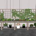 Bonsai and Potted Plants Display with Various Greenery on Wooden Shelves Indoor