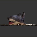 Modern doll shark great white shark whale shark hammerhead shark 3d model