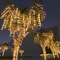 Outdoor Lighting Decorative Light Poetry Light Outdoor Atmosphere Light Tree Hanging Decorative Light Tree Hanging Atmosphere Light 3d model