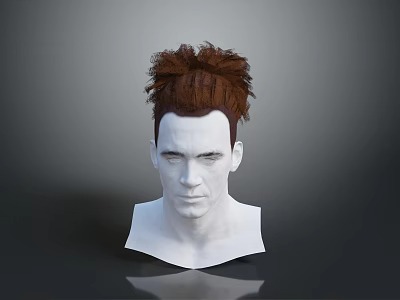 3D Rendered White Human Head Model With Brown Messy Fluffy Hair And Gray Background 3d model