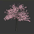 Vibrant Pink Flowering Tree In Full Bloom With Lush Blooms And Petals