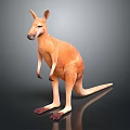Realistic Brown Kangaroo Standing With Long Tail On Dark Reflective Surface 3d model