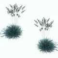 Ornamental Green Grass with Slender Stems and Small Leaves Against White Background