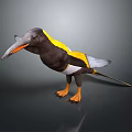 Colorful Flying Bird with Black Yellow White Feathers Long Beak and Orange Feet