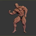 Muscular Man Posing to Flex Well Defined Strong Fit Body Muscles