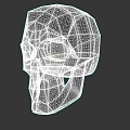 Low Poly White Skull Model With Geometric Design On Black Background 3d model