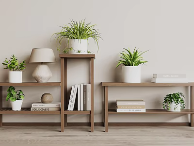 Wooden Shelving Unit With Green Plants Books And Table Lamp On Light Wall Background 3d model