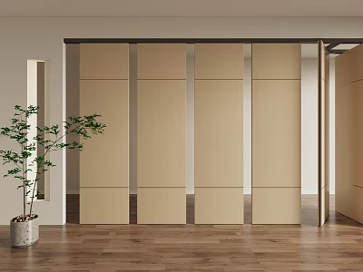 Modern Wooden Sliding Doors Interior Design With Floor And Plant In Living Space 3d model