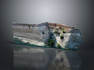 Layered Rock Structure With Green Plants On Gray Background And Bottom Reflection 3d model