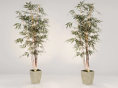 Two Potted Bamboo Plants in Gray Square Pots on White Background 3d model
