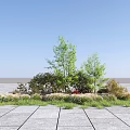 plant combination 3d model