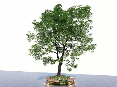 Lush Arbor With Green Foliage Brown Trunk On Circular Golden Edge Base 3d model