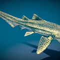 Spotted Shark With Streamlined Body And Dorsal Fins Swimming In Blue Underwater Environment
