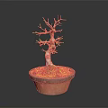 Wooden Bonsai Tree With Stone Accent In Terracotta Pot And Green Moss