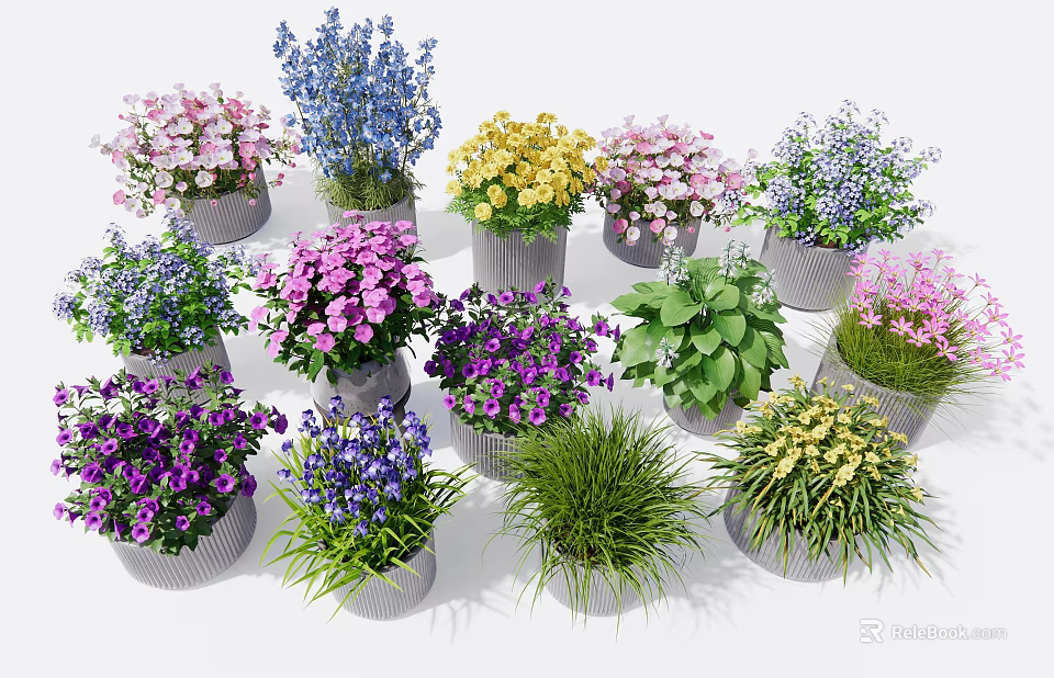 Colorful Potted Plants With Various Flowering Types And Green Foliage In Gray Pots 3d model 