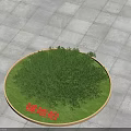 Creeping Juniper Shrub in Circular Green Area with Lush Foliage on Paved Ground