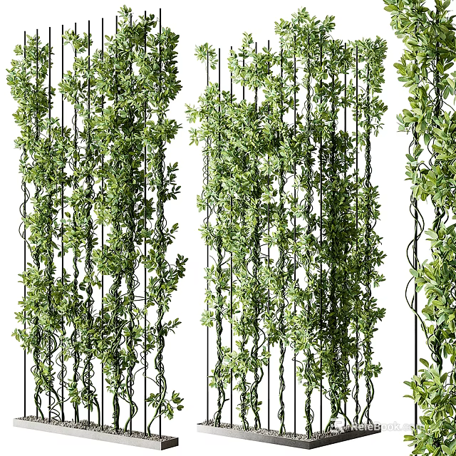 Lush Green Plant Wall With Hanging Vines Diverse Foliage And Vertical Design 3d model
