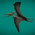 Pterosaur Fengshen Pterosaur Dinosaur Jurassic Ancient Creatures Ancient Birds Low Face Number Low Model Simple Model Game Next Era Film and Television Level Super Realism 3d model