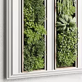 Lush Green Living Wall Design With Various Plant Species And White Frame Details