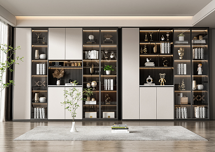 Modern bookcase combination 3d model