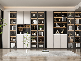 Modern bookcase combination 3d model